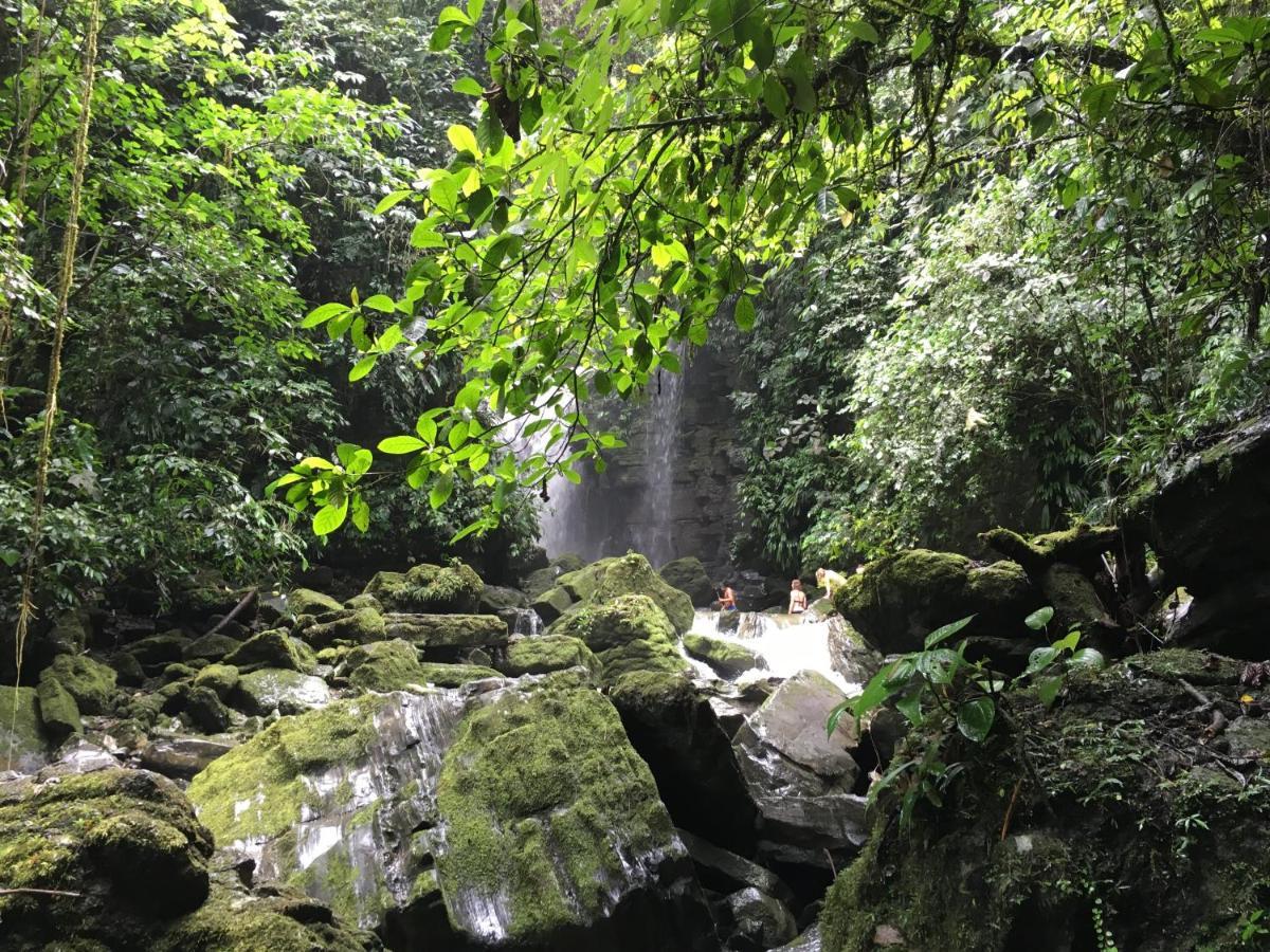 Grand Selva Lodge & Tours Tena Zewnętrze zdjęcie
